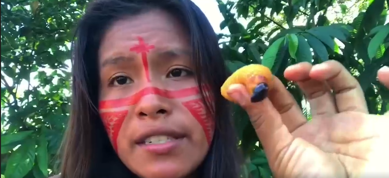 Du betrachtest gerade Indigene Ernährung – Zukunft aus dem Amazonas