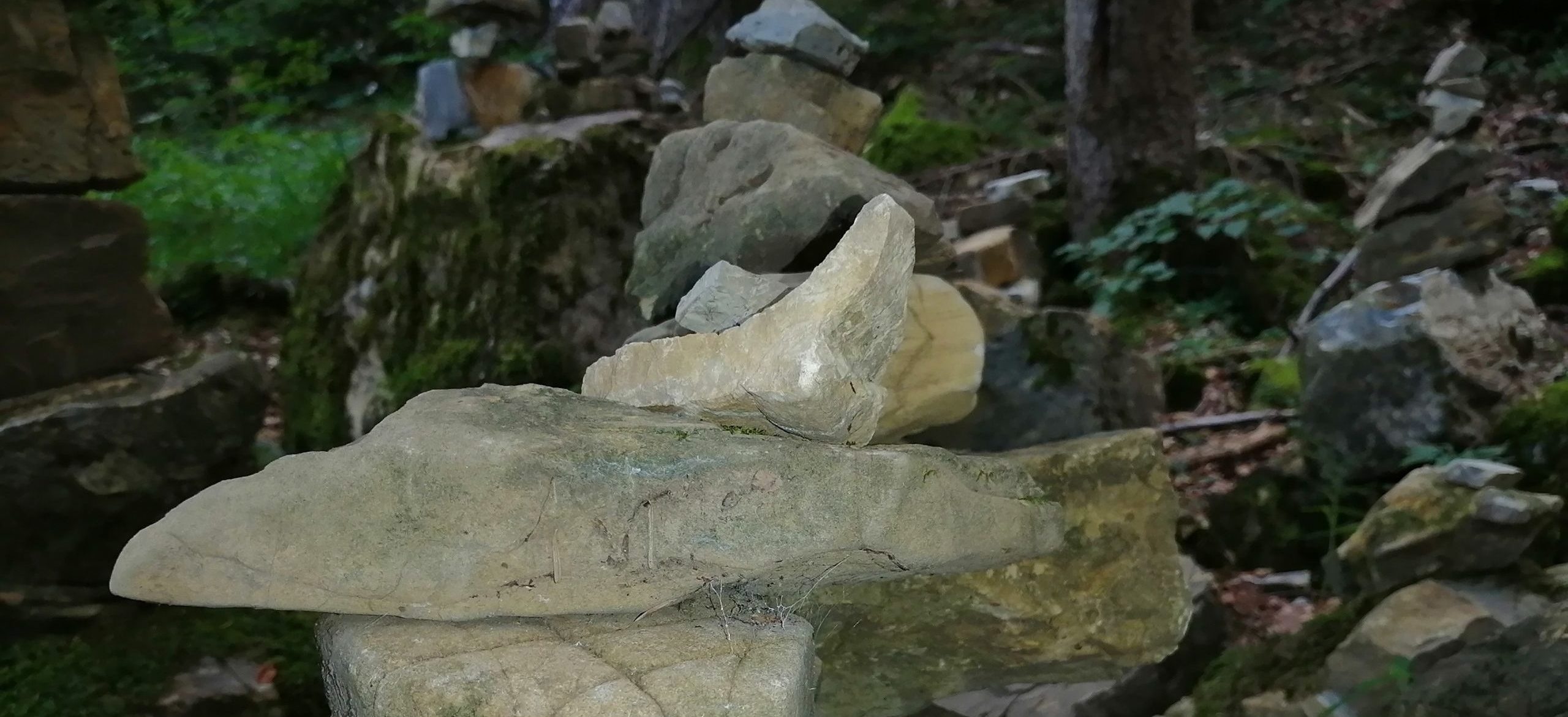 Du betrachtest gerade Wahrheit, was?